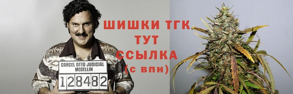 ешки Абаза