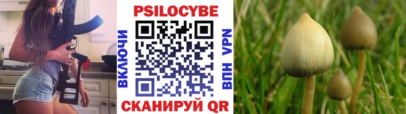 купить  сайты  Ядрин  Псилоцибиновые грибы Cubensis 